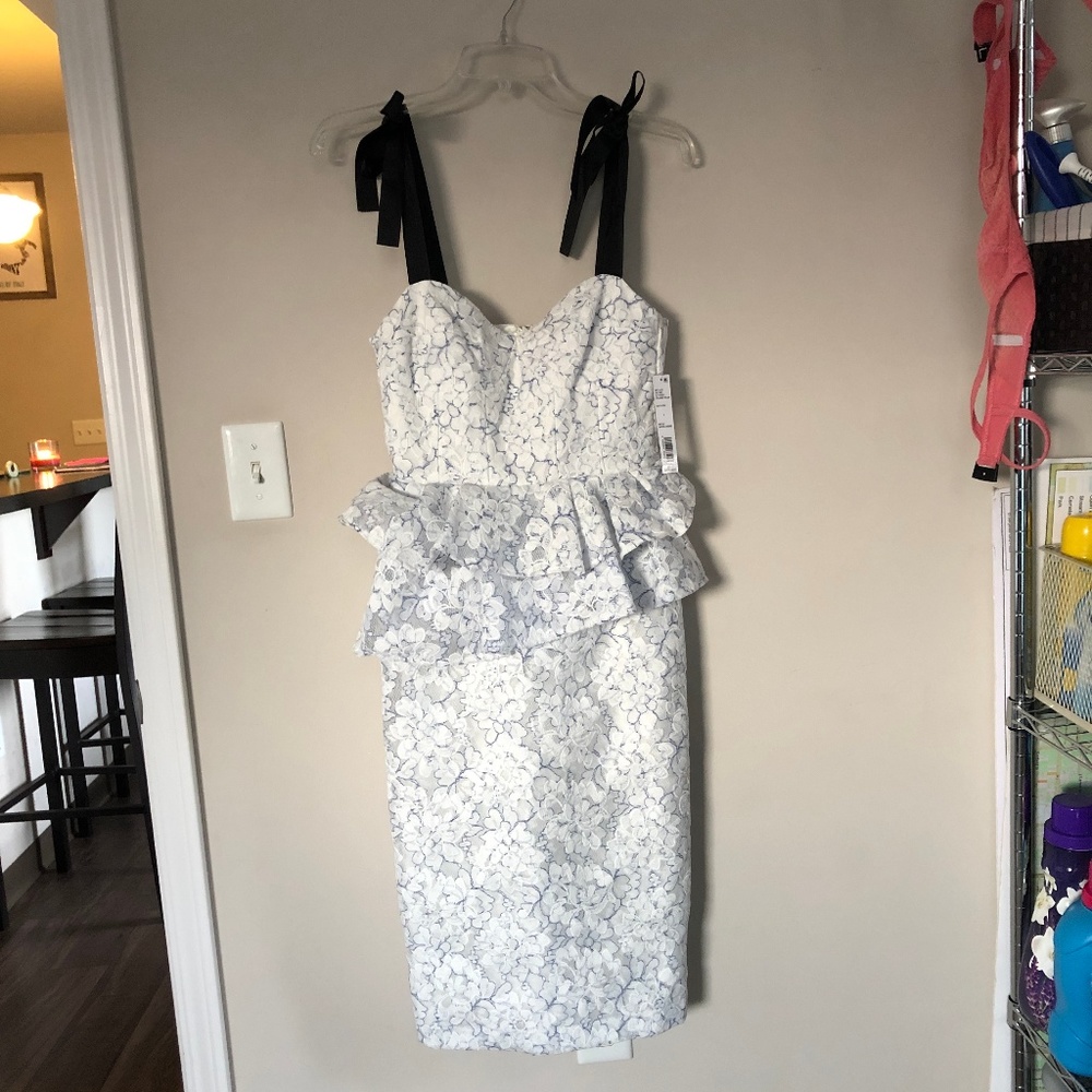 Gianni Bini Janice Peplum Waist Organza Dress
